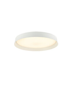LED плафон Zambelis Lights 22127 за баня