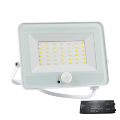 Бял LED прожектор Elmark Whe 98VEGA30SWW/WHE за фасади и дворове