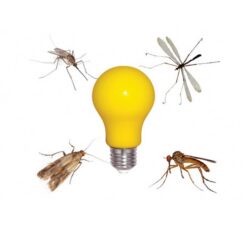 LED осветително тяло Lightex Buzzz за осветление в дома