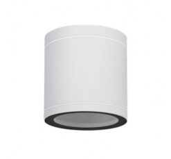 Бяла LED луна Lightex Eagle 1XGU10 за дома