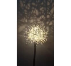 LED осветително тяло Lightex Dandelion 200MAH за интериорно осветление