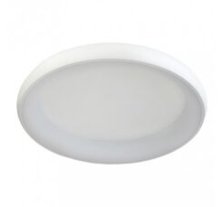 Бял LED плафон Lightex Lita за проходни зони