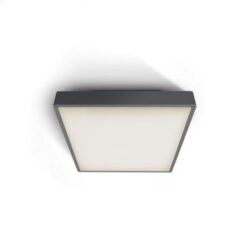 Фасаден плафон One Light 67282E/AN ANTHRACITE IP65 SQUARE FACADE CEILING LAMP