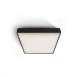 Фасаден плафон One Light 67282E/B BLACK IP65 SQUARE FACADE CEILING LAMP
