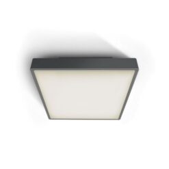 Фасаден плафон One Light 67282EA/AN ANTHRACITE IP65 SQUARE FACADE CEILING LAMP