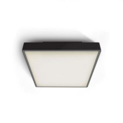 Фасаден плафон One Light 67282EA/B BLACK IP65 SQUARE FACADE CEILING LAMP