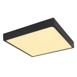 LED плафон Globo Echo за антре