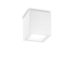 ФАСАДНА ЛУНА ЗА ВЪНШЕН МОНТАЖ IDEAL LUX 251523 TECHO PL1 BIG BIANCO
