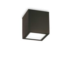 Луна Ideal Lux Techo 251530 за външно осветление