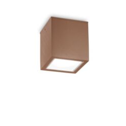 Луна Ideal Lux Techo 251547 за фасада и вход