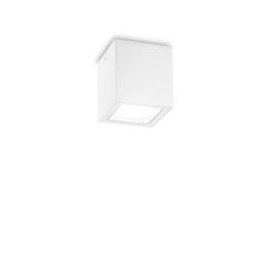 Луна Ideal Lux Techo 251561 за градина и двор