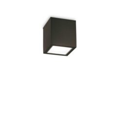 Луна Ideal Lux Techo 251578 за фасада и вход