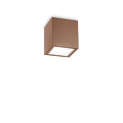 Луна Ideal Lux Techo 251592 за градина и двор