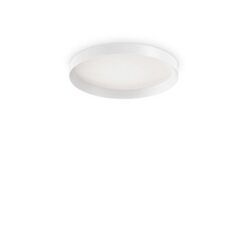 LED плафон Ideal Lux Fly 254272 за антре