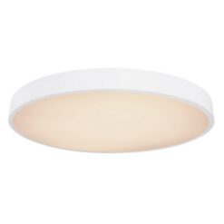 LED плафон Globo Wiss за проходни зони