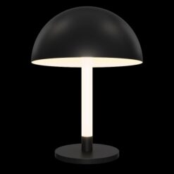 MAYTONI Table lamp Ray Z012TL-L8B3K - Image 3