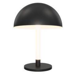 MAYTONI Table lamp Ray Z012TL-L8B3K