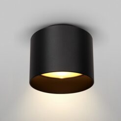 LED луна за външен монтаж MAYTONI C009CW-L12W4K PLANET - Image 3