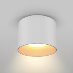 LED луна за външен монтаж MAYTONI C009CW-L12W4K PLANET - Image 6