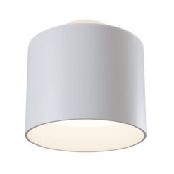 LED луна за външен монтаж MAYTONI C009CW-L12W4K PLANET