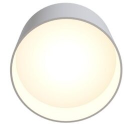 LED луна за външен монтаж MAYTONI C009CW-L12W4K PLANET - Image 3
