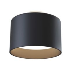 LED луна за външен монтаж MAYTONI Planet C009CW-L16B4K PLANET