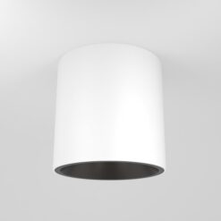 LED луна за външен монтаж MAYTONI C064CL-L12W4K-D ALFA LED - Image 3