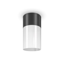 MAYTONI Ceiling lamp Willis O418CL-01B - Image 2