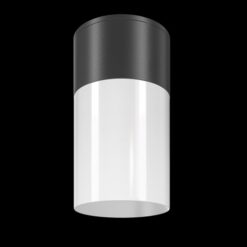 MAYTONI Ceiling lamp Willis O418CL-01B - Image 3