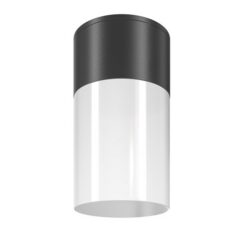 MAYTONI Ceiling lamp Willis O418CL-01B