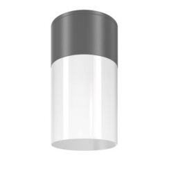 MAYTONI Ceiling lamp Willis O418CL-01GR