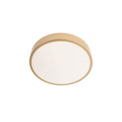 LED плафон SMARTER 05-929 KNOB