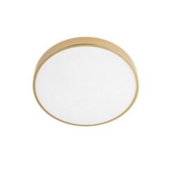 LED плафон SMARTER 05-932 KNOB