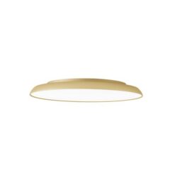 LED плафон VIOKEF 4303500 ART