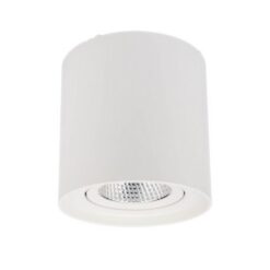 LED луна за открит монтаж SMARTER 70433 PC 01 LED 10W 4000K RD MWH