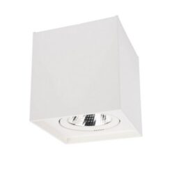 LED луна за открит монтаж SMARTER 70439 PC 01 LED 10W 4000K SQ MWH