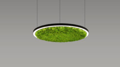 LED пендел COOL ACOUSTIC MOSS - LP