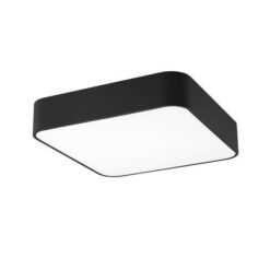 Плафон NOVA LUCE RAGU 866602