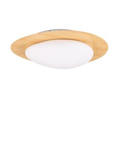 LED Плафон NOVA LUCE NIMBUS 9030648