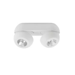 Спот NOVA LUCE GON 9105202