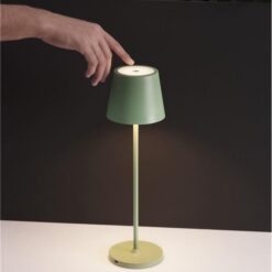Градинска настолна лампа NOVA LUCE LUCE SEINA 9223405 • с батерия