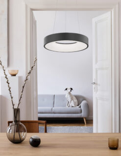 Пендел NOVA LUCE RANDO THIN 9453431 LED 30W, 1950Lm, 3000K, IP20 D: 38 H: 120 cm - Image 2