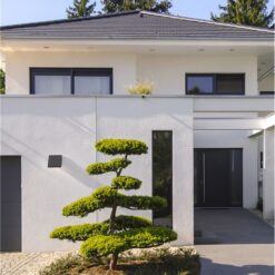 Фасаден аплик Nova Luce PARRIS 9492620 черен детайл 1