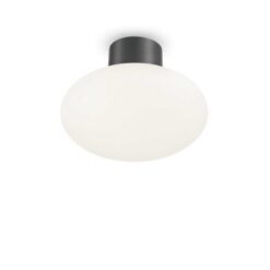 Фасаден плафон IDEAL LUX 148861+145068 CLIO PL1 ANTHRACITE