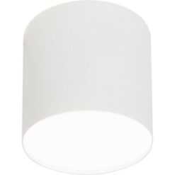 Луна за външен монтаж NOWODVORSKI 6525 Point Plexi Led White M