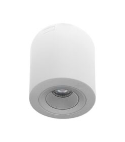Бяло LED осветително тяло Ceiling 2103110 за дома