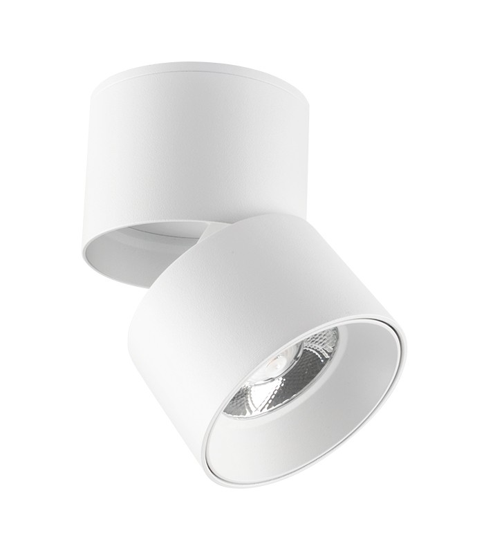 spot-light-fixture-surface-mounted-lazy-10-10w-950lm-cob-4000k-o72x98-white-2102890-vito.jpg