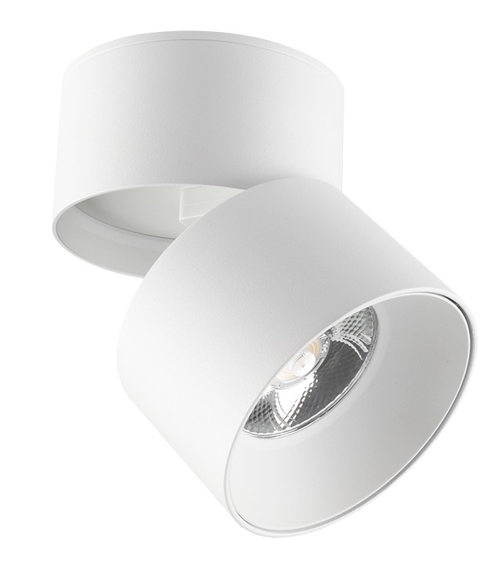 spot-light-fixture-surface-mounted-lazy-20-20w-1900lm-cob-4000k-o93x110-white-2102930-vito.jpg