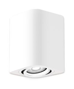 LED ЛУНА RABALUX KOBALD 2050