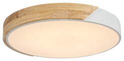 Плафон Rabalux Maple 3527 за коридор